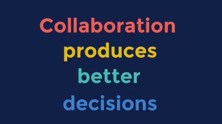 VFED’s annual peer supervision